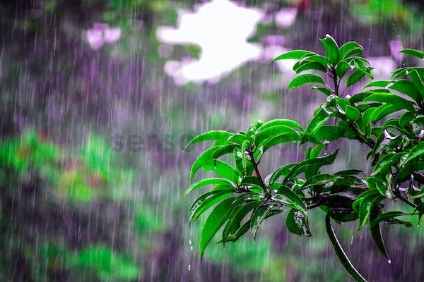 无线雨量计